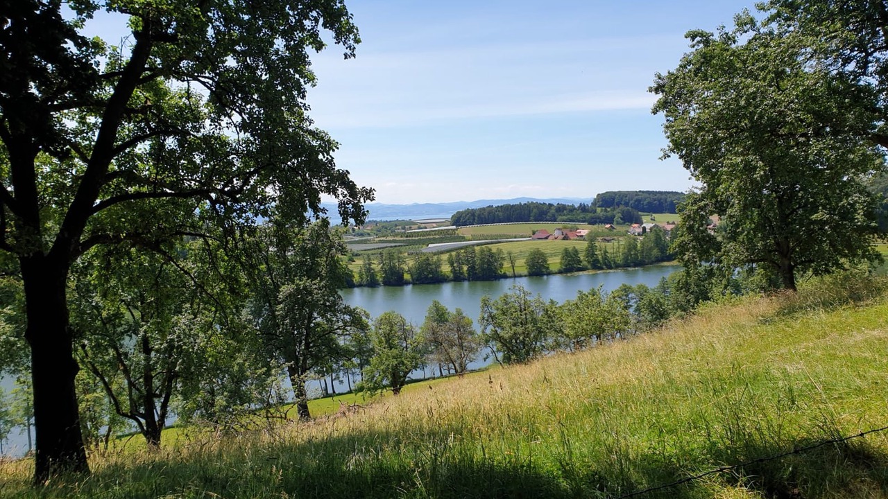 Photo of Others in Kressbronn