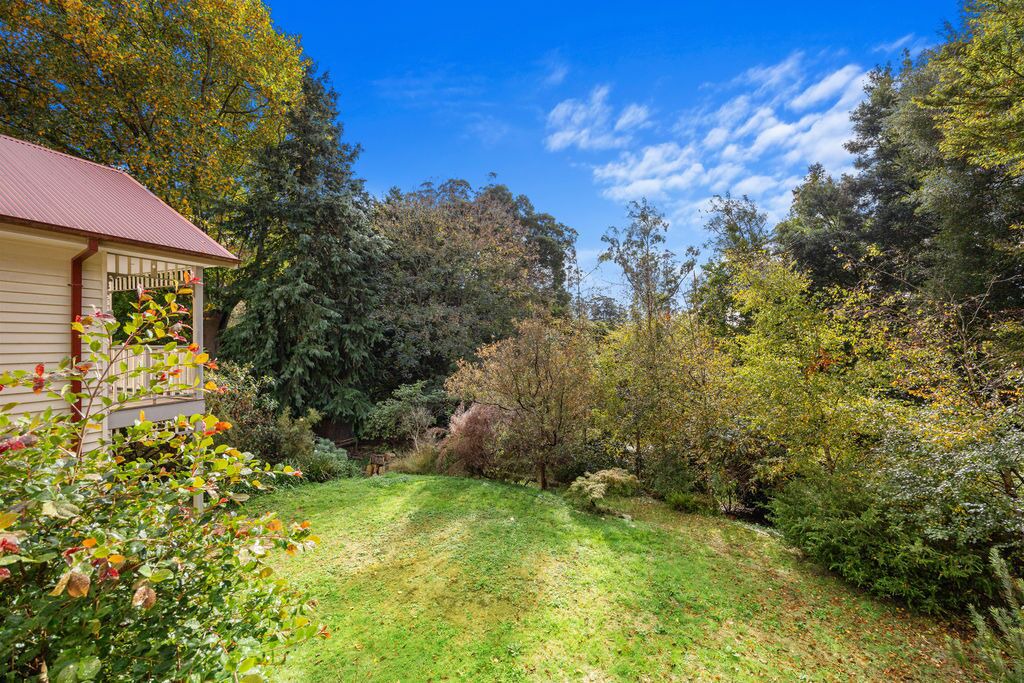 Photo of Outdoor in Mount Dandenong