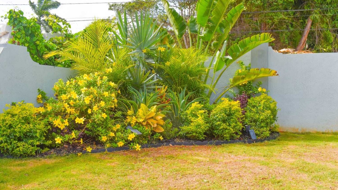 Photo of Outdoor in Silver Sands