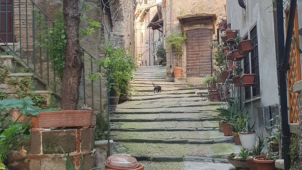 Photo of Outdoor in Sacrofano