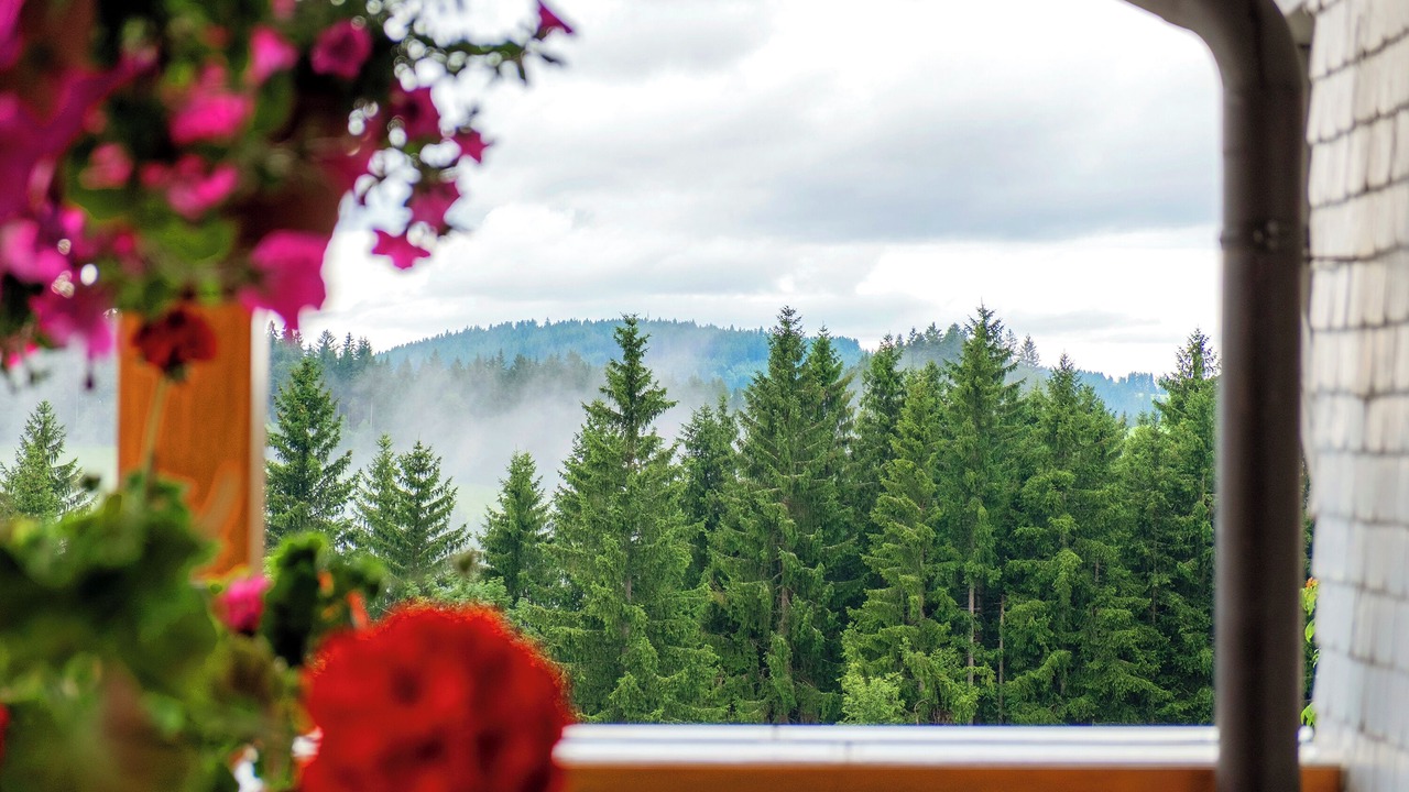 Photo of Others in Titisee-Neustadt