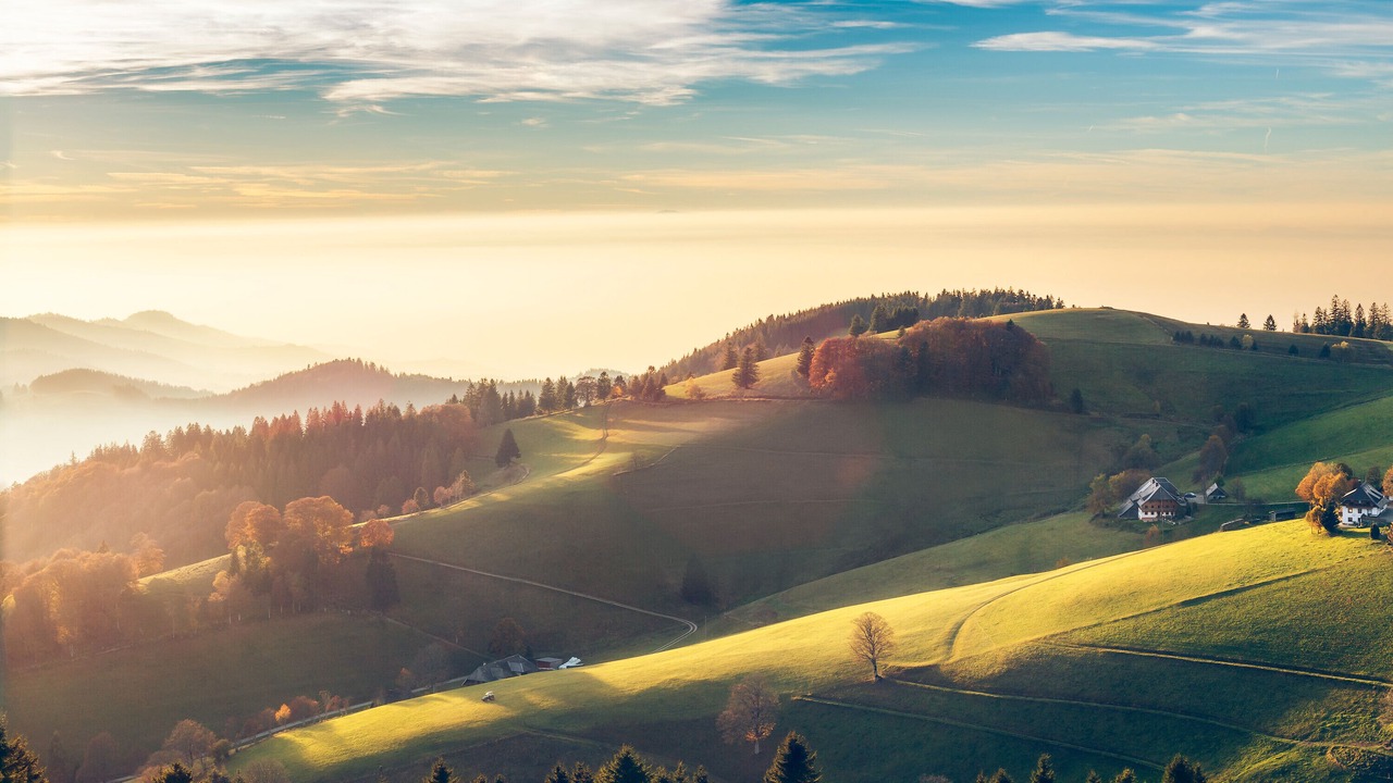 Photo of Others in Hinterzarten