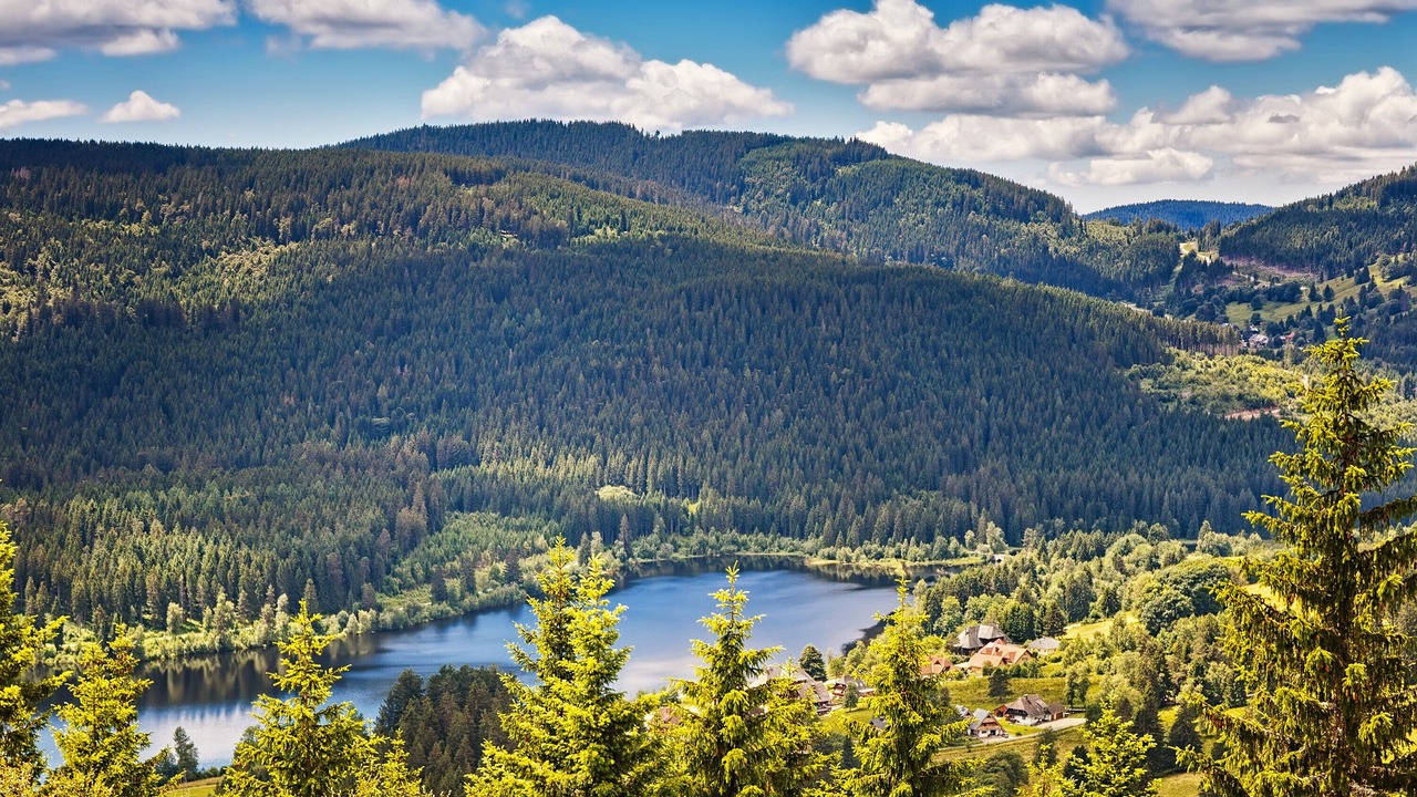 Photo of Others in Hinterzarten