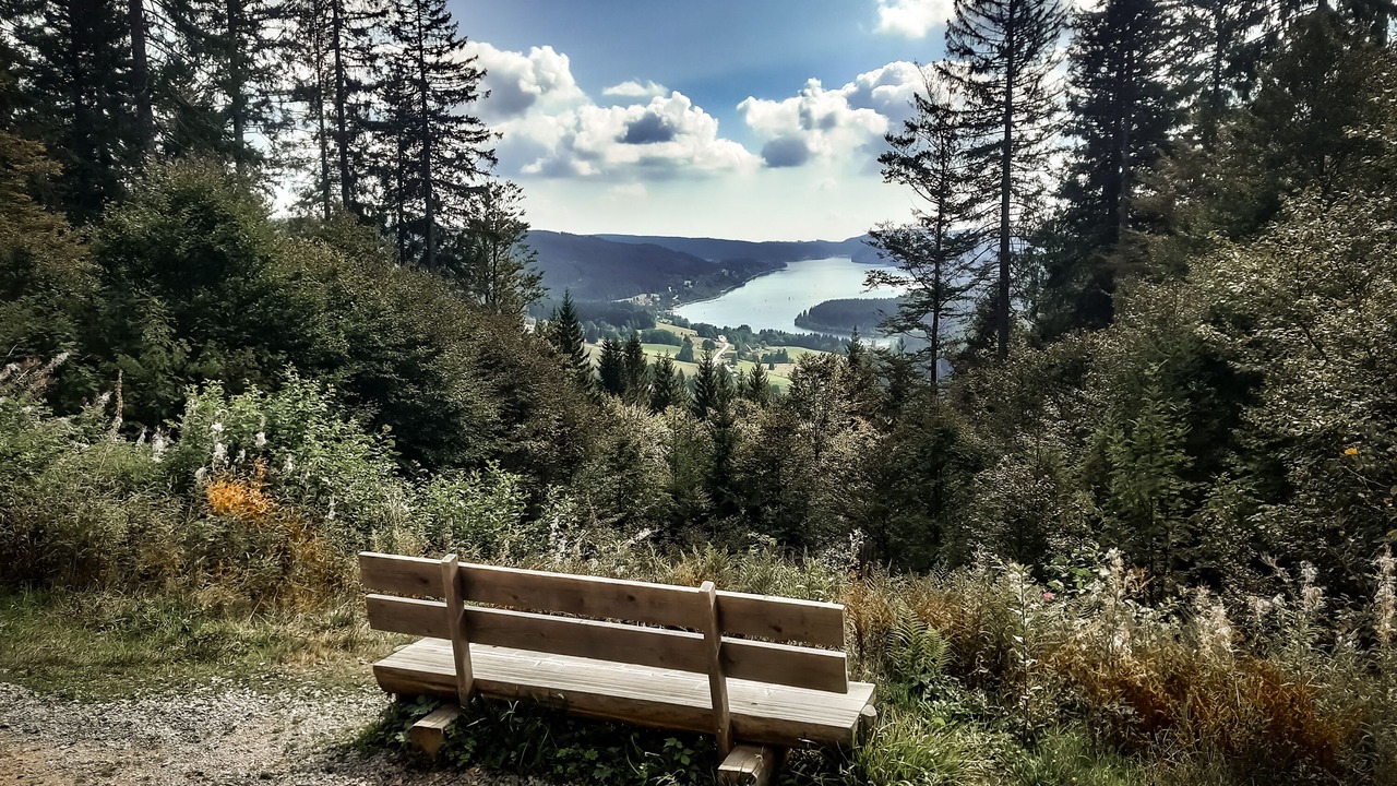 Photo of Outdoor in Hinterzarten