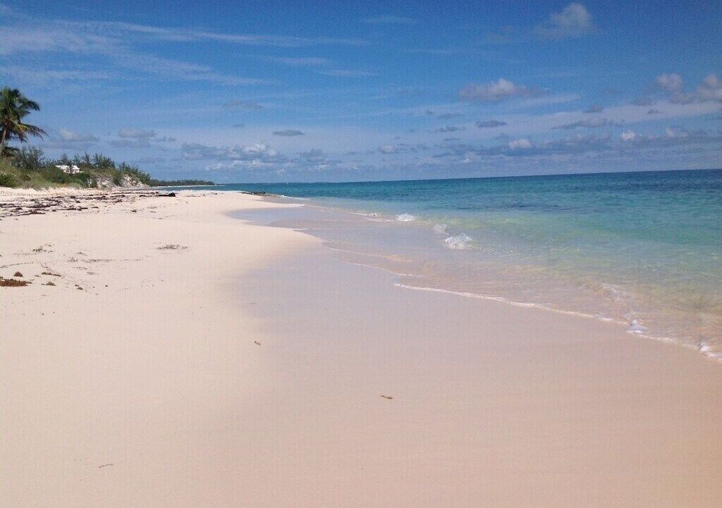 Photo of Others in North Palmetto Point