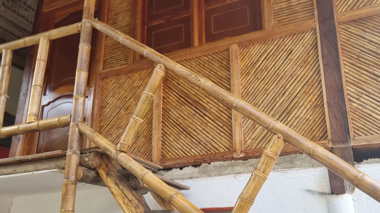 Photo of Outdoor in Buritaca