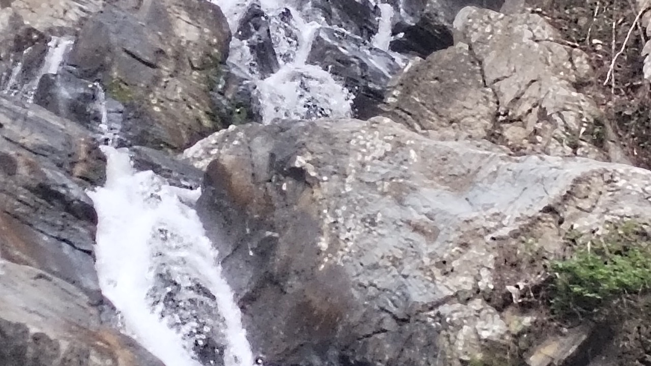 Photo of Others in Buritaca