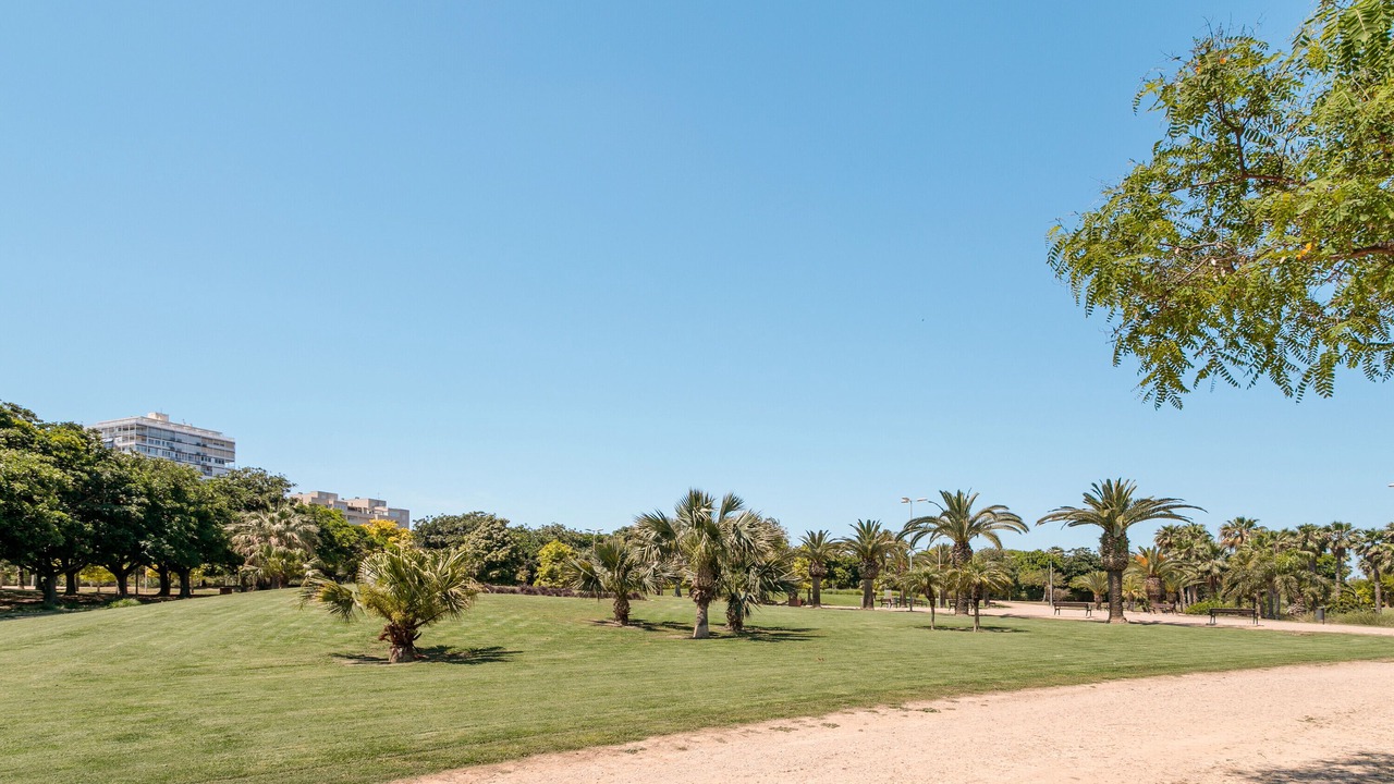 Photo of Others in Playa de San Juan