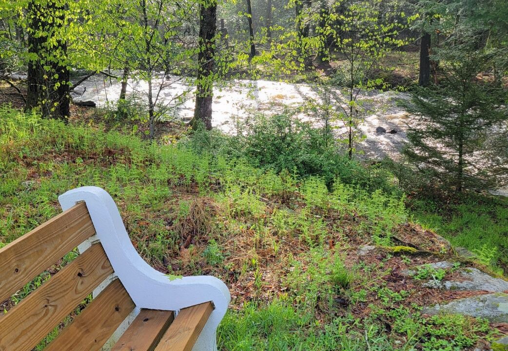 Photo of Outdoor in Forestburgh