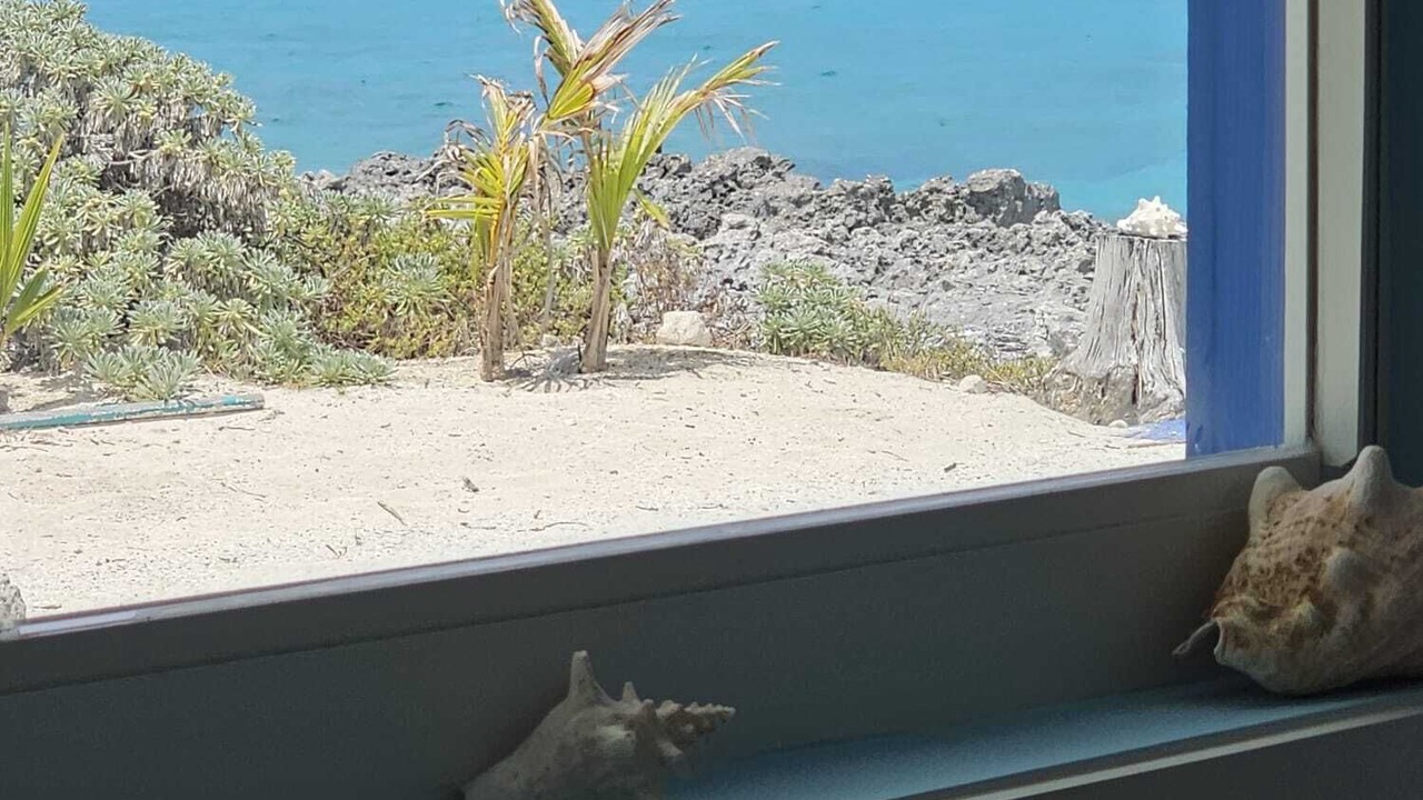 Photo of Others in Port Royal