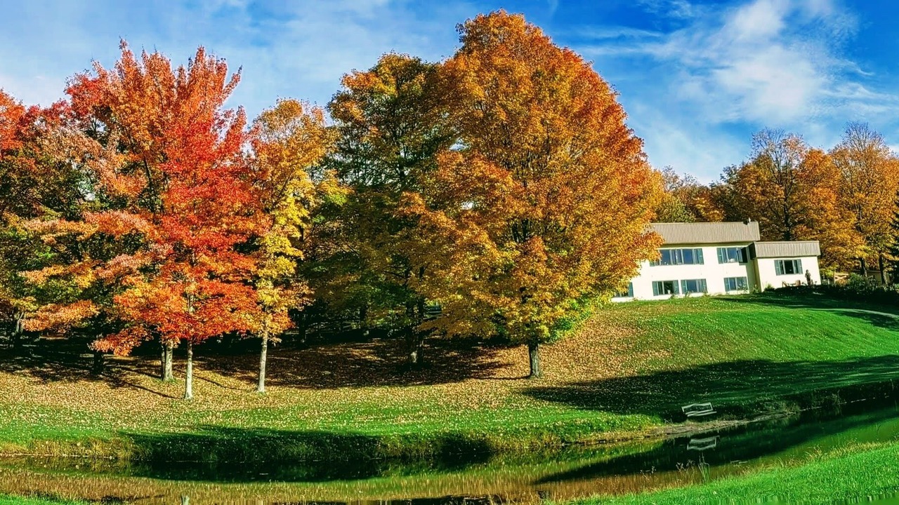 Photo of Outdoor in Sutton