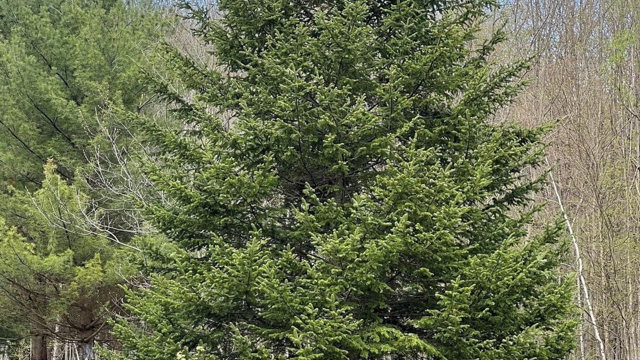 Photo of Outdoor in Bromont