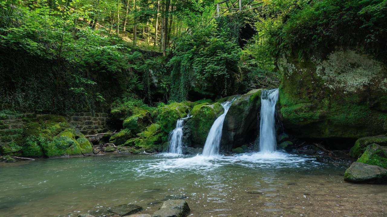 Photo of Others in Luxembourg Ardennes