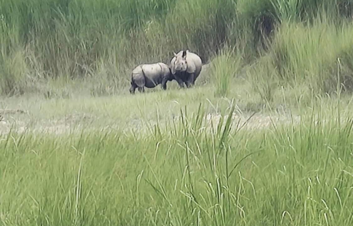 Photo of Others in Chitwan District