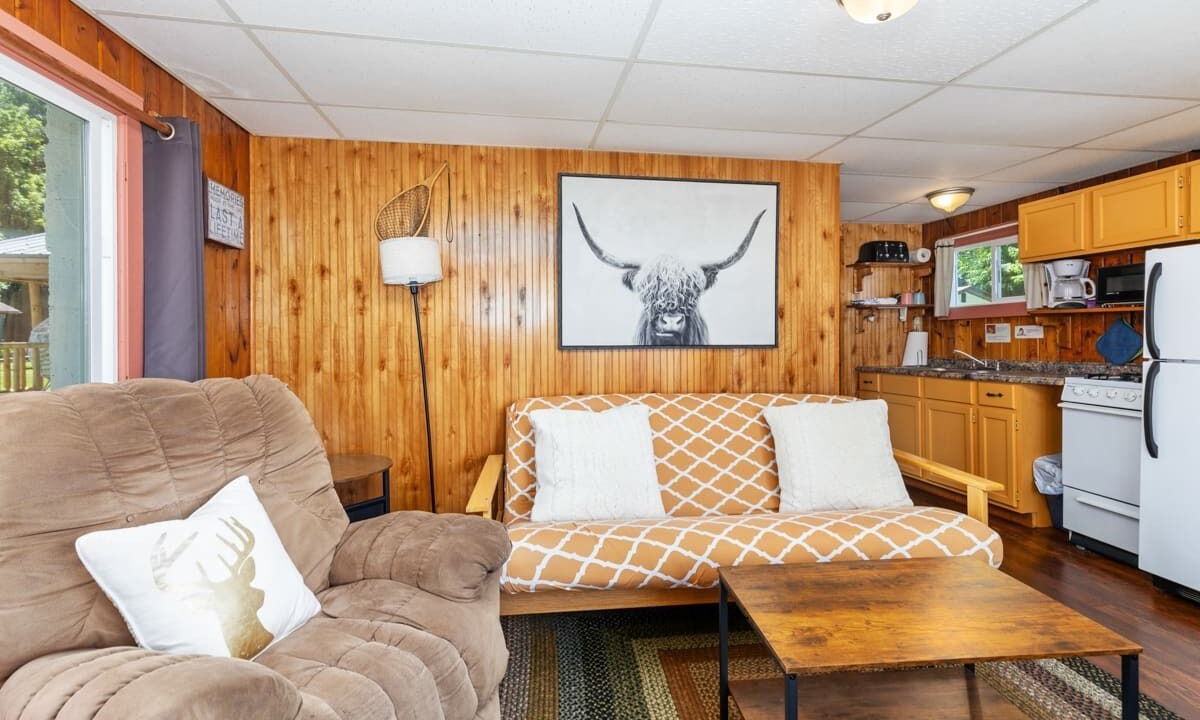 Photo of Livingroom in Chippewa Lake