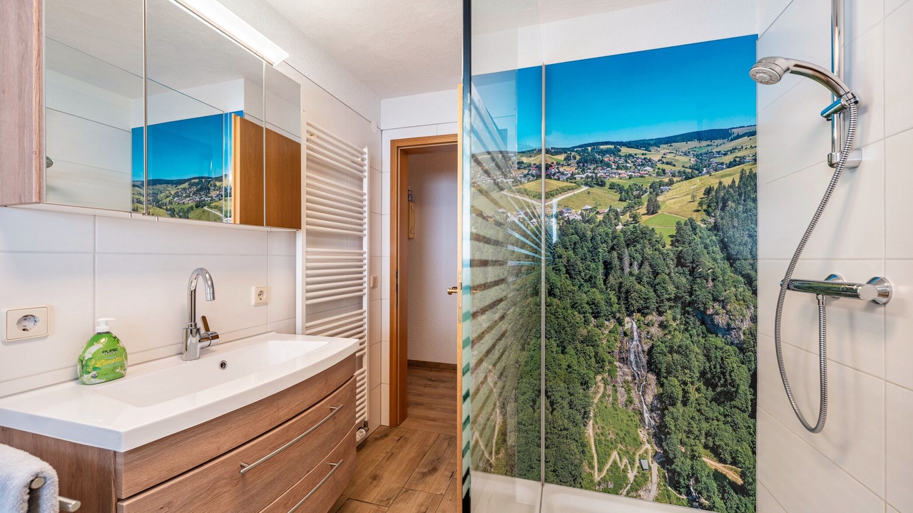 Photo of Bathroom in Todtnauberg