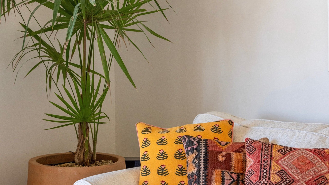 Photo of Livingroom in Campo de Golf Fonatur