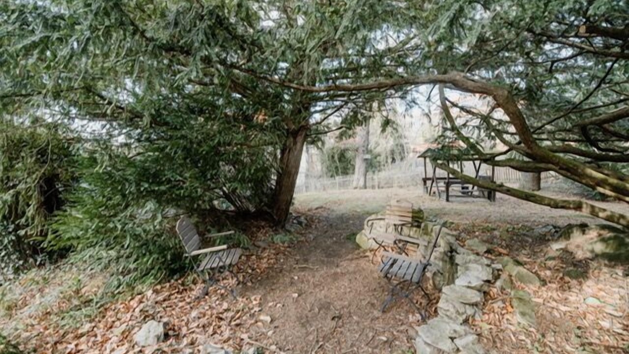 Photo of Outdoor in Wernigerode