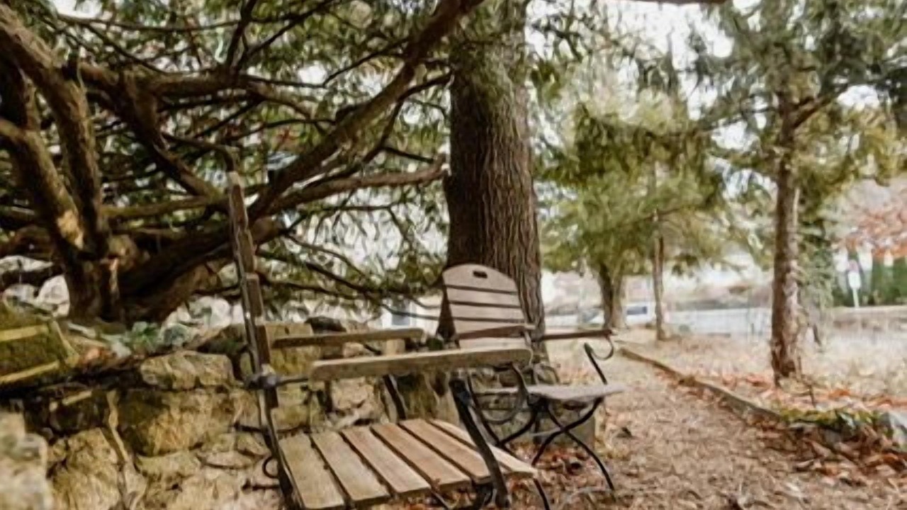 Photo of Outdoor in Wernigerode