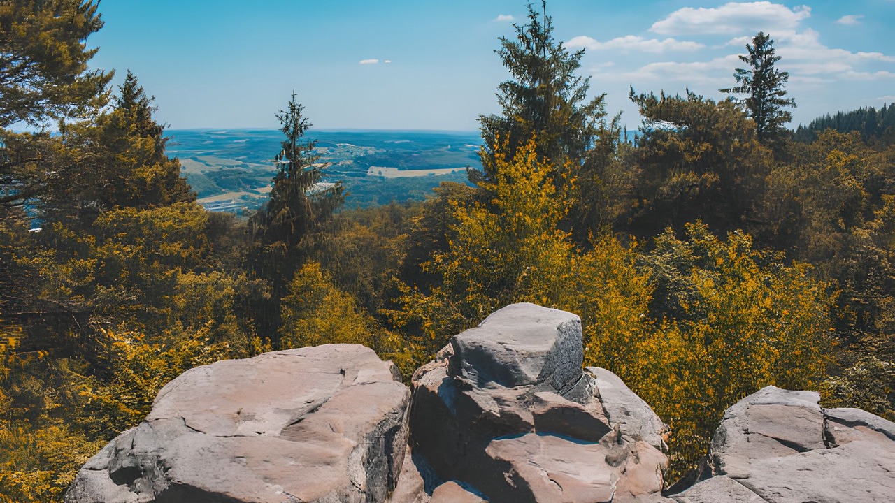 Photo of Others in Holzhausen-Externsteine