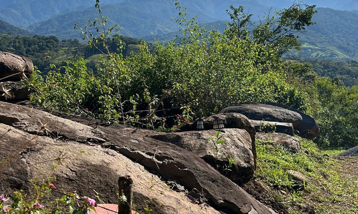 Photo of Outdoor in Rivas