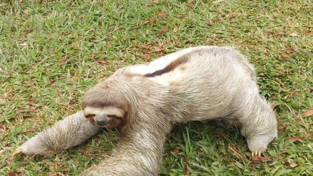 Photo of Others in Rivas