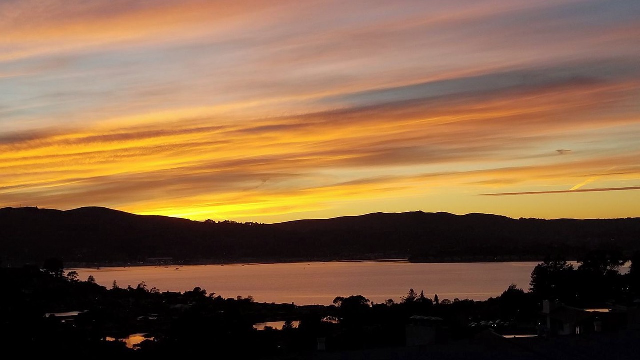 Photo of Others in Belvedere Tiburon