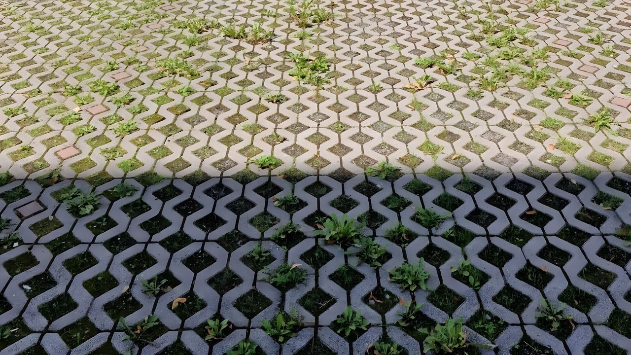 Photo of Outdoor in Chemnitz