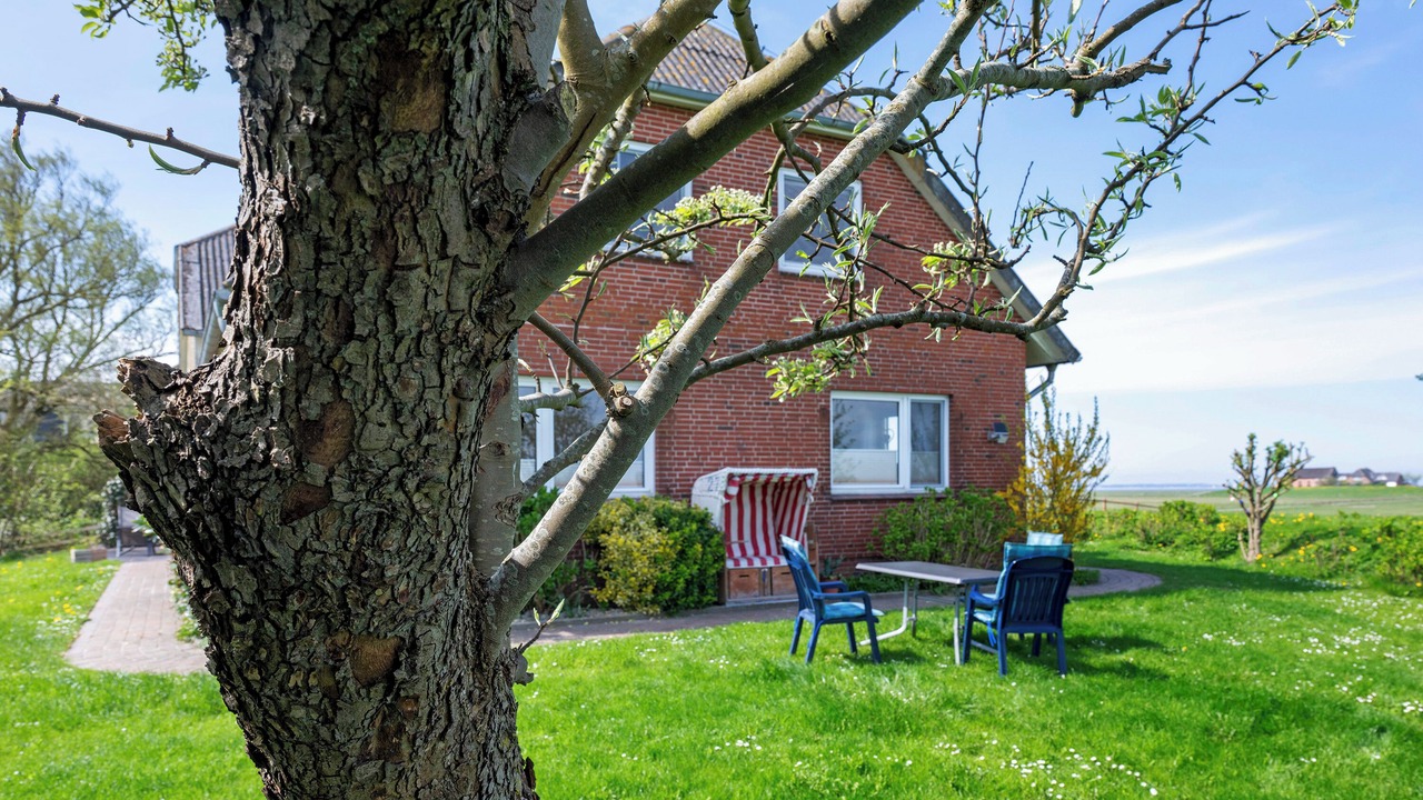 Photo of Outdoor in Langeneß