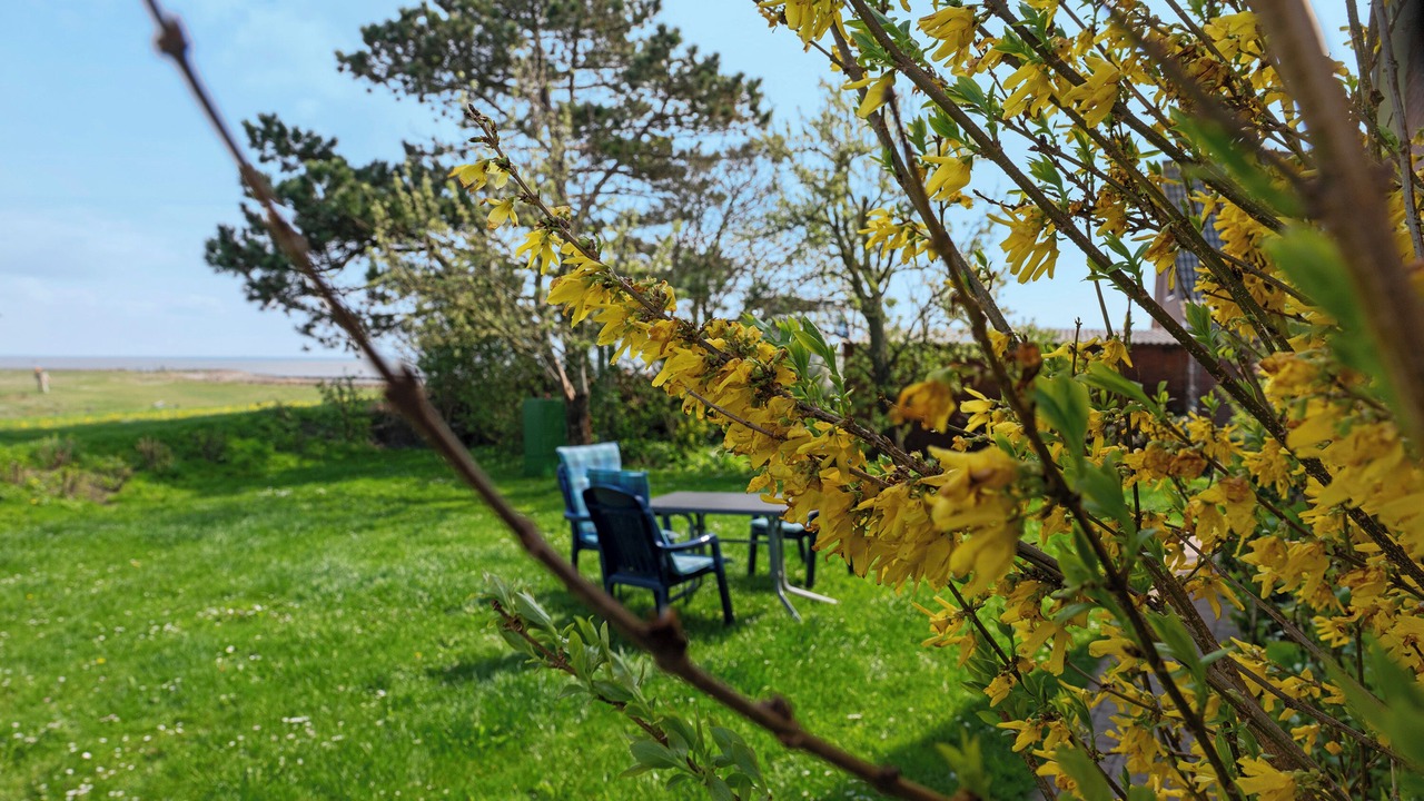 Photo of Outdoor in Langeneß