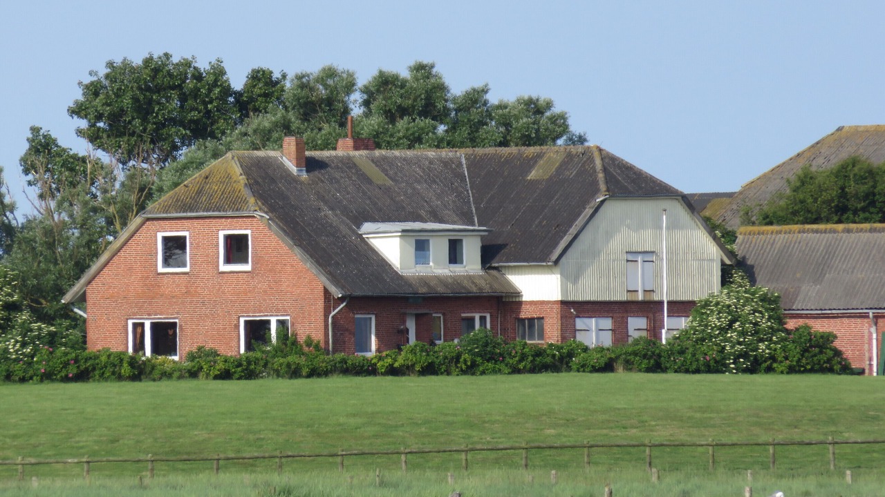Photo of Outdoor in Langeneß