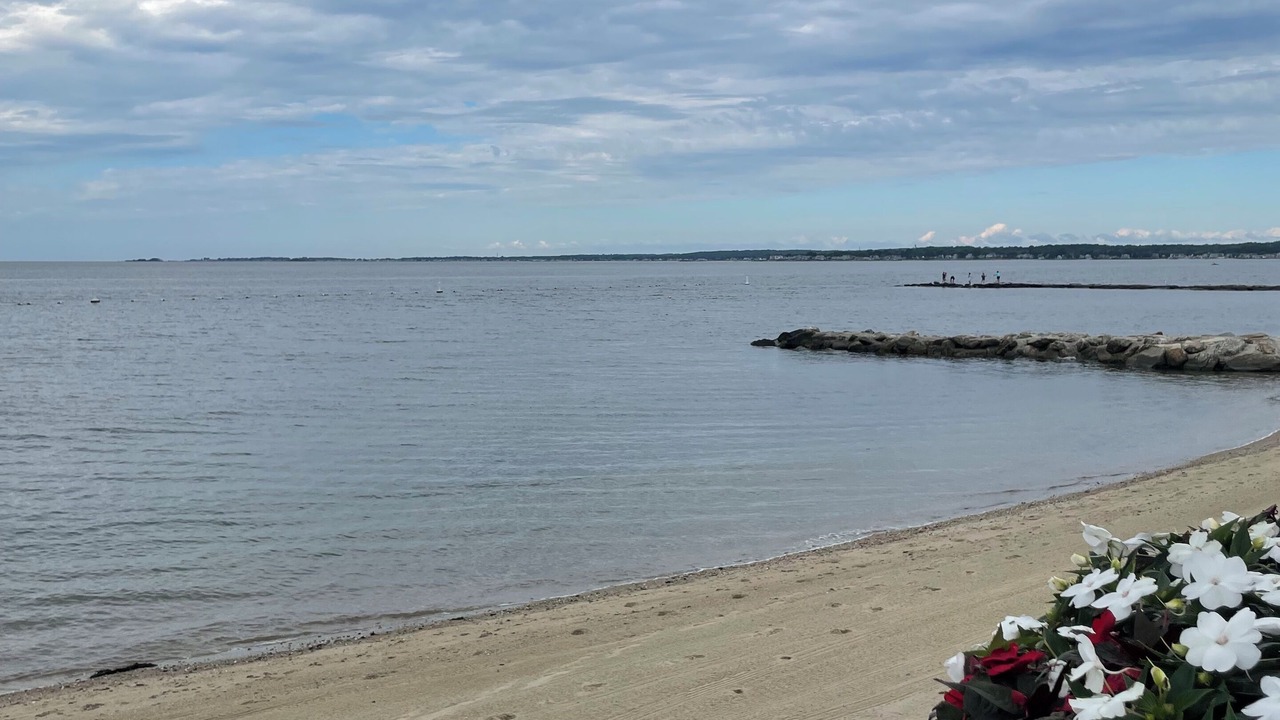 Photo of Others in Old Saybrook