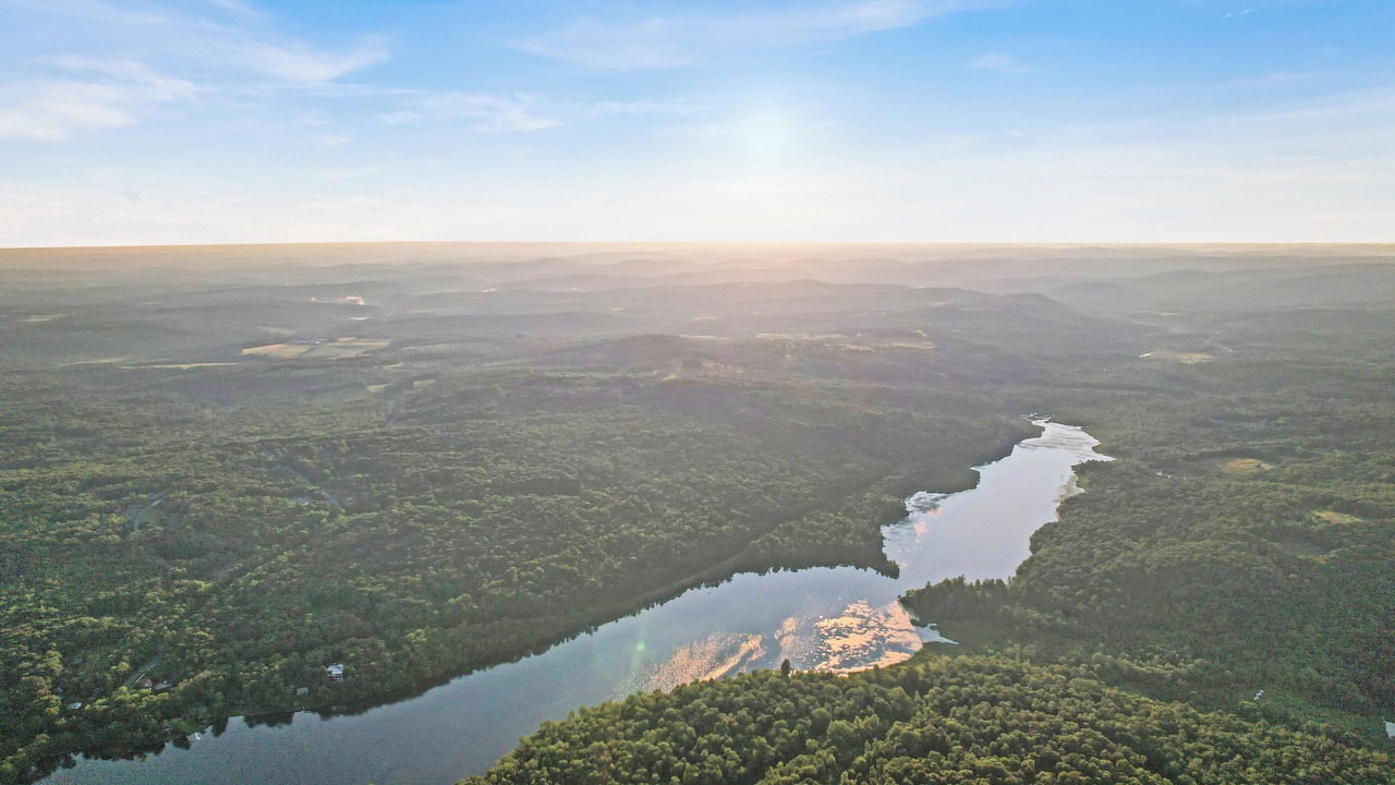 Photo of Outdoor in Swan Lake