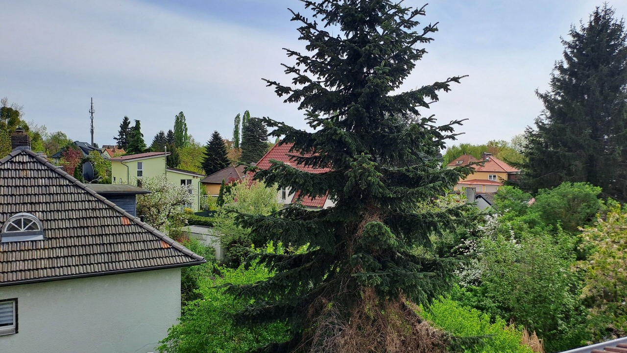 Photo of Others in Falkensee