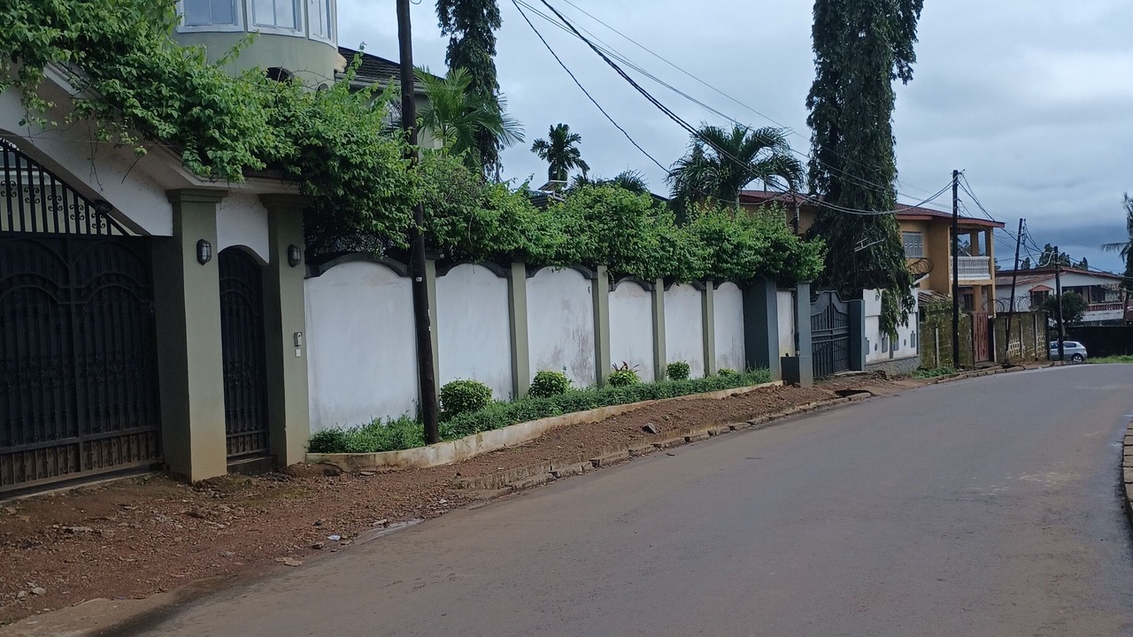 Photo of Others in Freetown