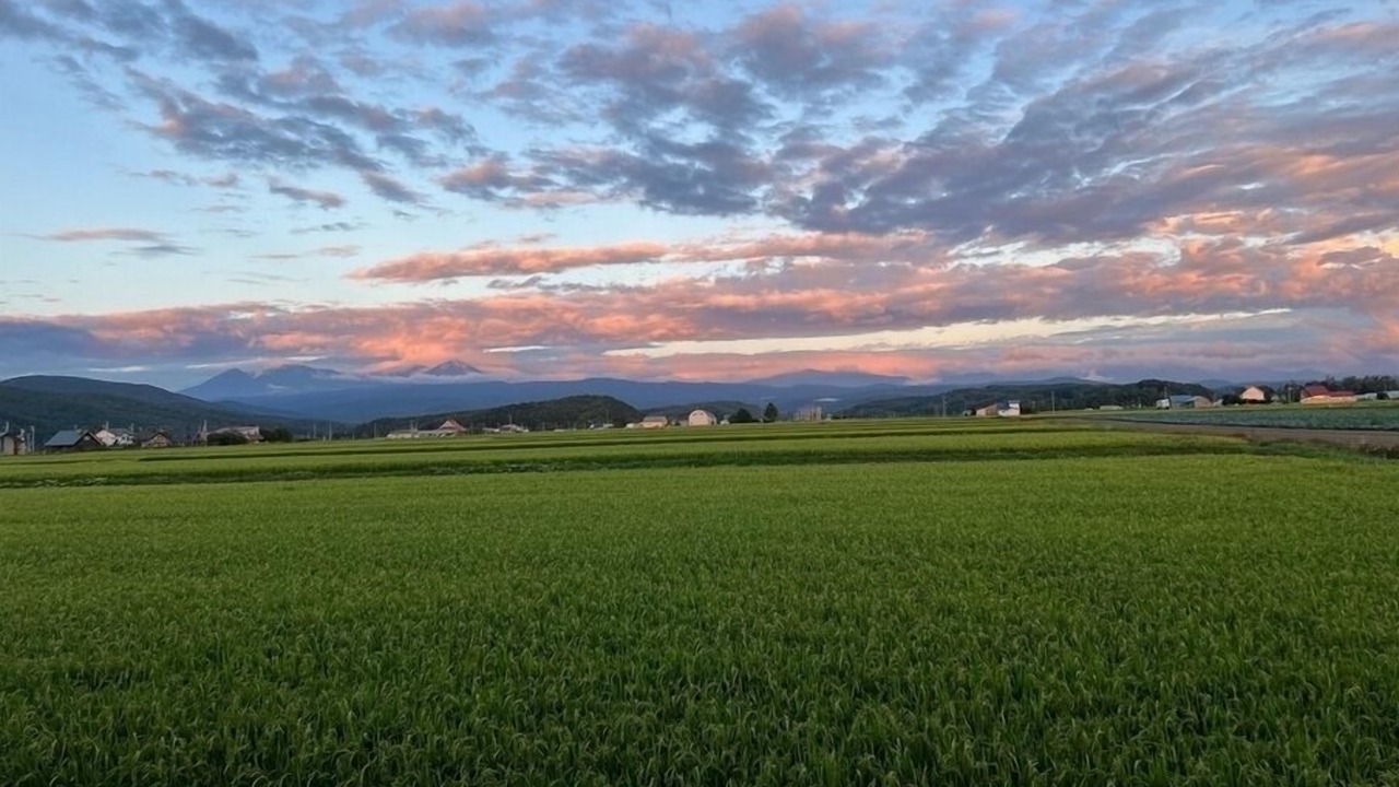 Photo of Others in Higashikawa