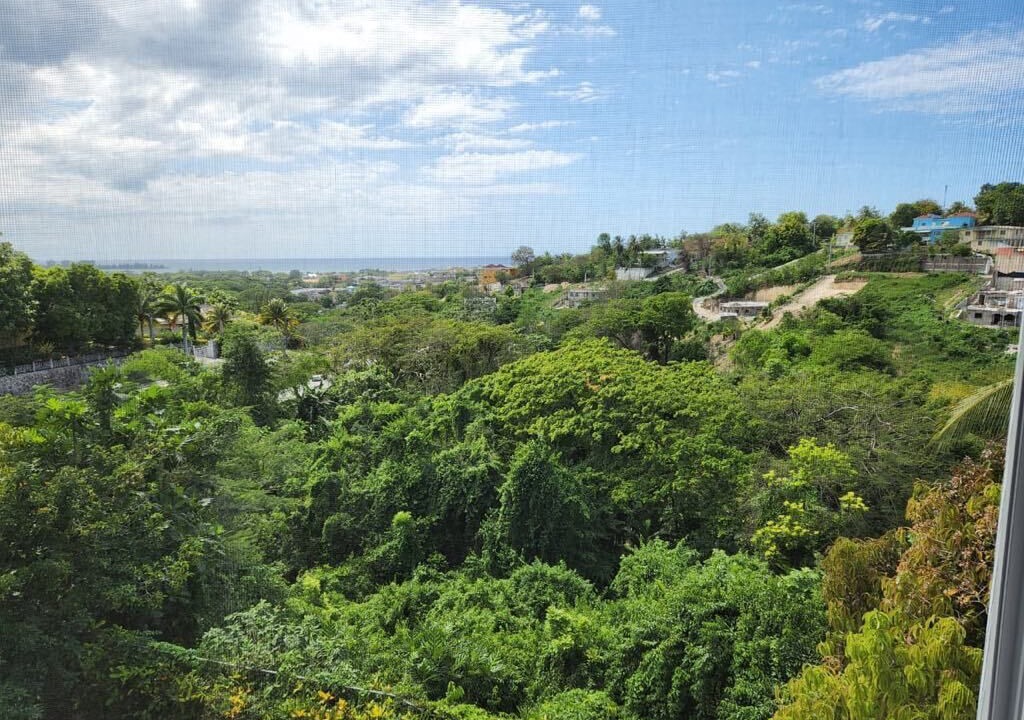 Photo of Others in West Gate Hills