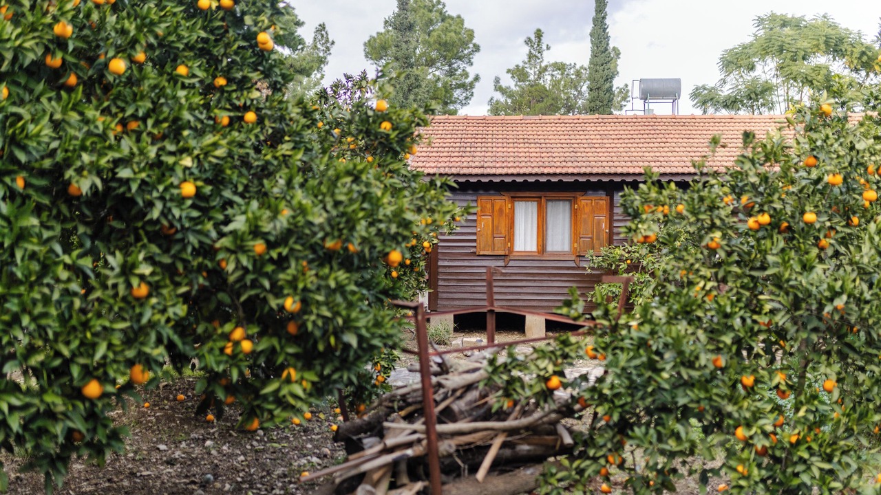 Photo of Outdoor in Cirali