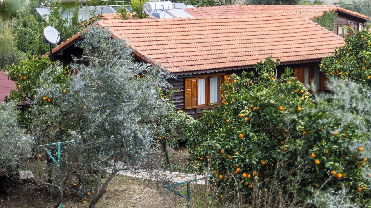 Photo of Outdoor in Cirali