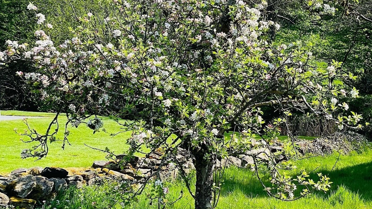 Photo of Outdoor in Ruppichteroth
