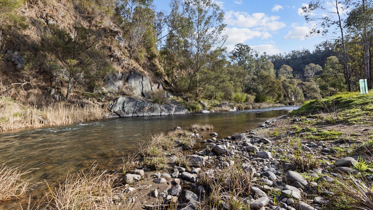 Photo of Others in Dargo