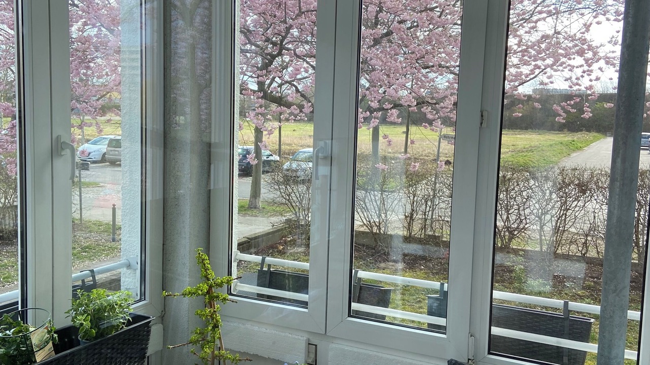 Photo of Others in Schoenefeld