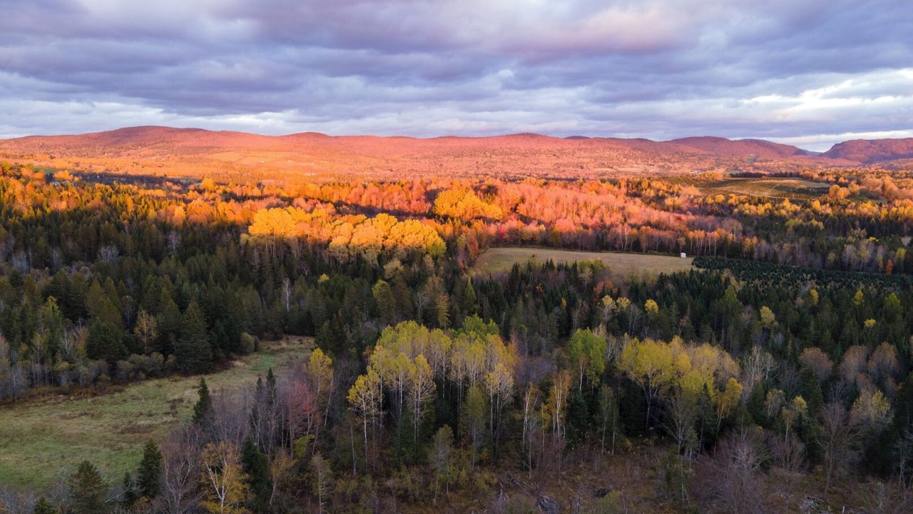Photo of Others in Colebrook