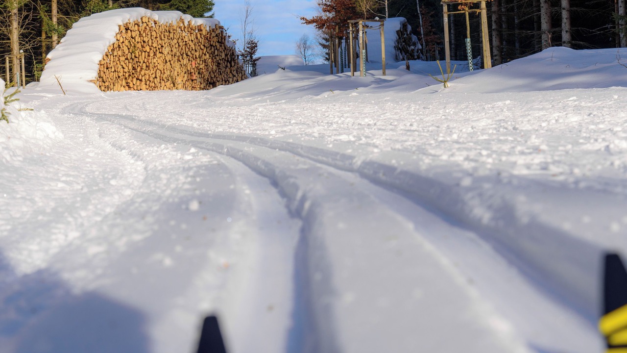 Photo of Others in Oberhof
