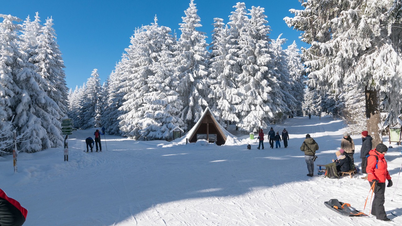 Photo of Others in Oberhof