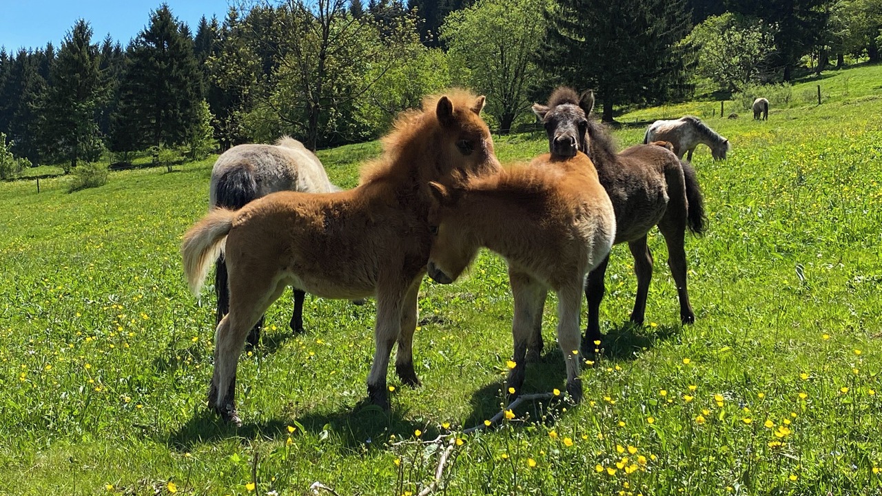 Photo of Others in Oberhof