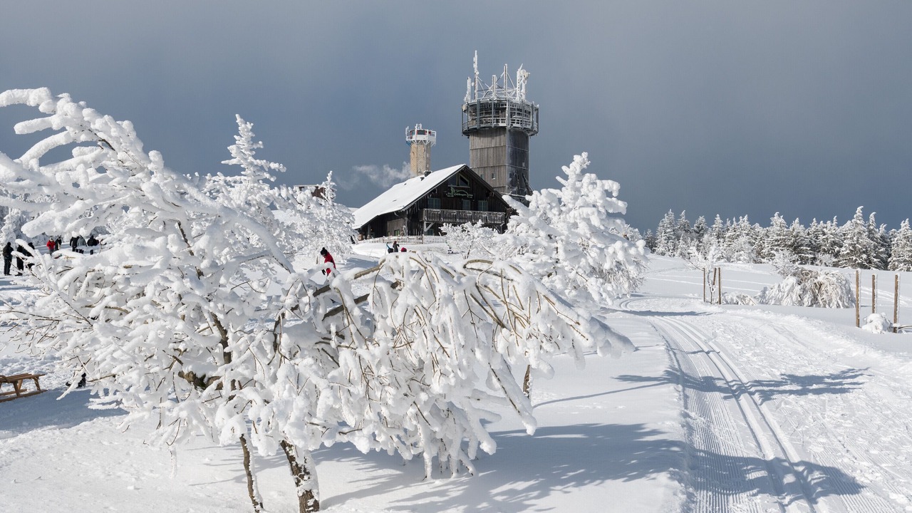 Photo of Others in Oberhof