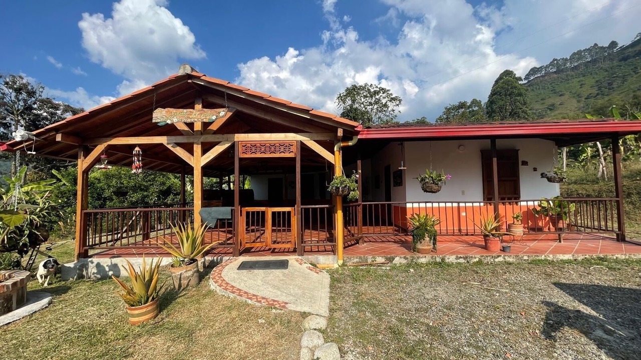 Photo of Outdoor in Jardin