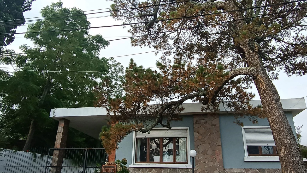 Photo of Outdoor in Piriapolis
