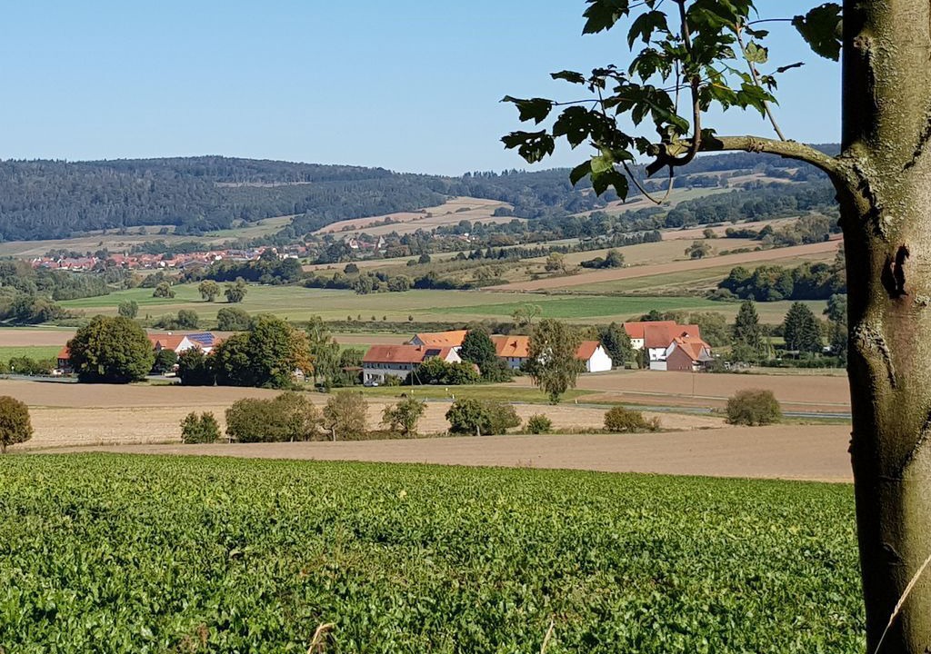 Photo of Others in Oberweser